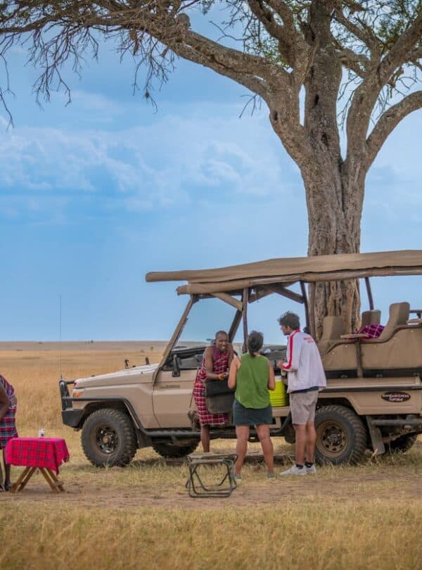Bush breakfast or lunch