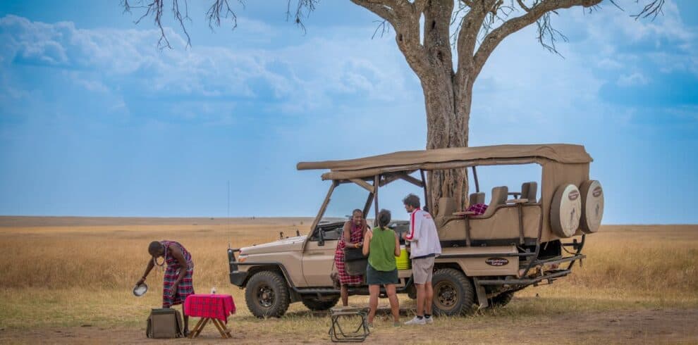 Bush breakfast or lunch