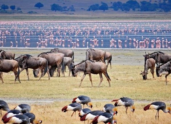 Lake Manyara Tanzania