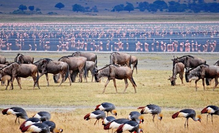 Lake Manyara Tanzania