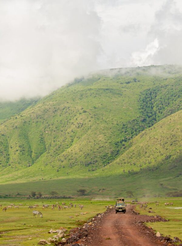Ngorongoro Crater