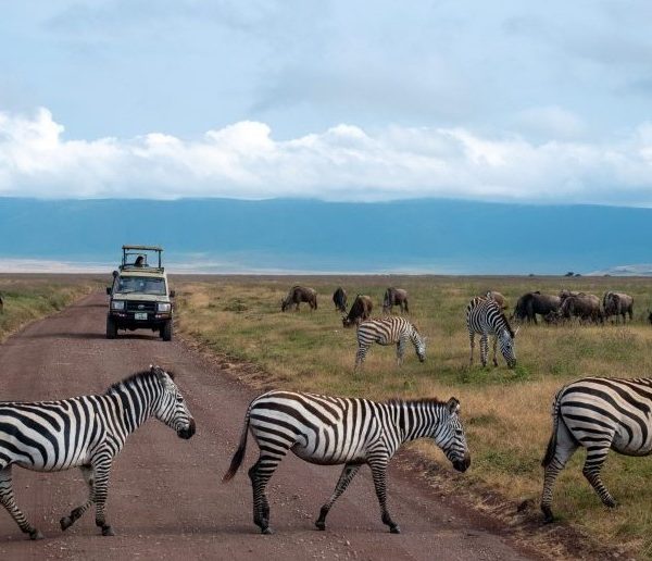 Ngorongoro National Park