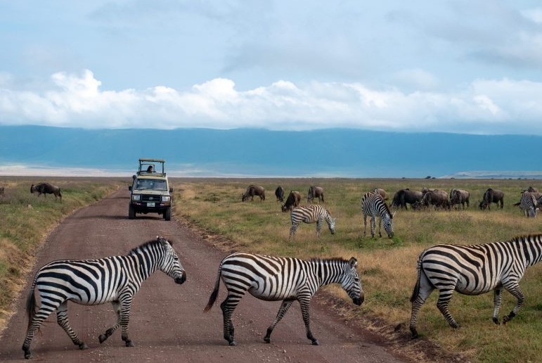 Ngorongoro National Park