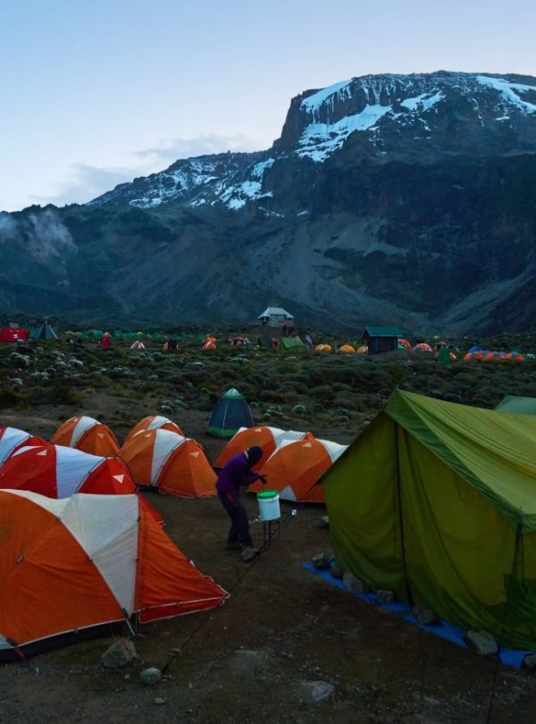 Shira Camp kilimanjaro