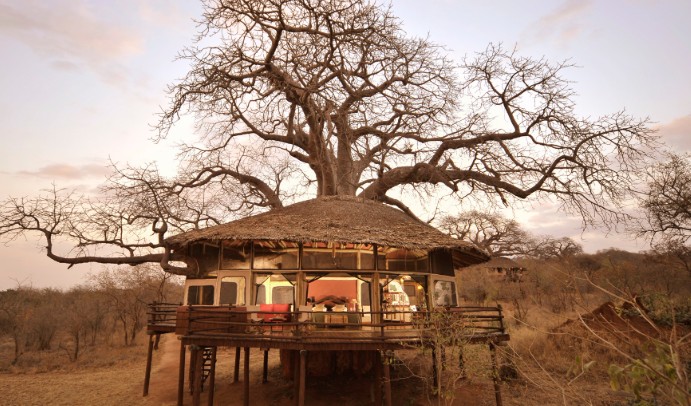 Tarangire treetops