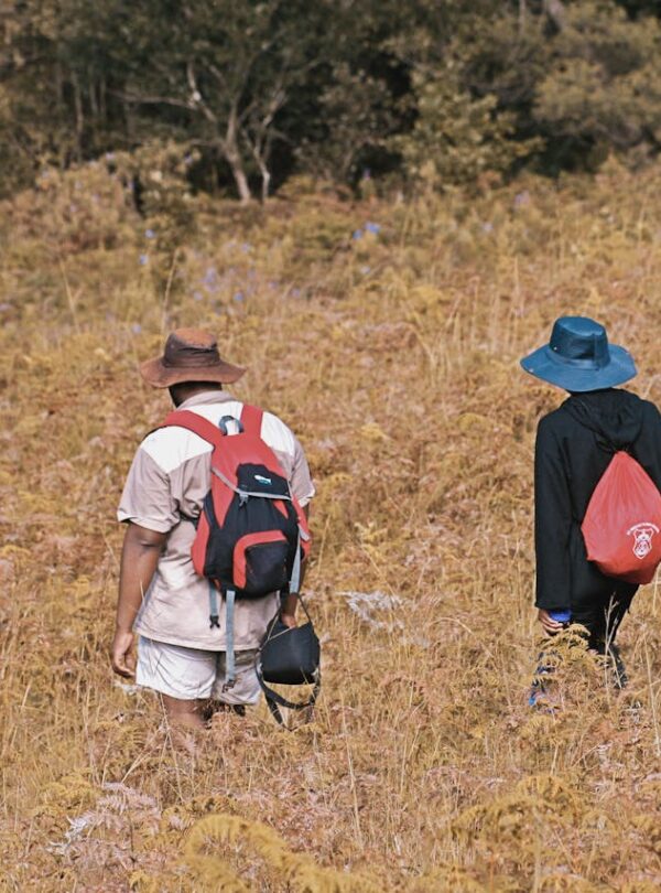 Wildlife Tracking