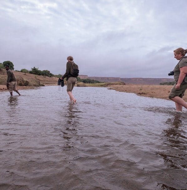walking safari