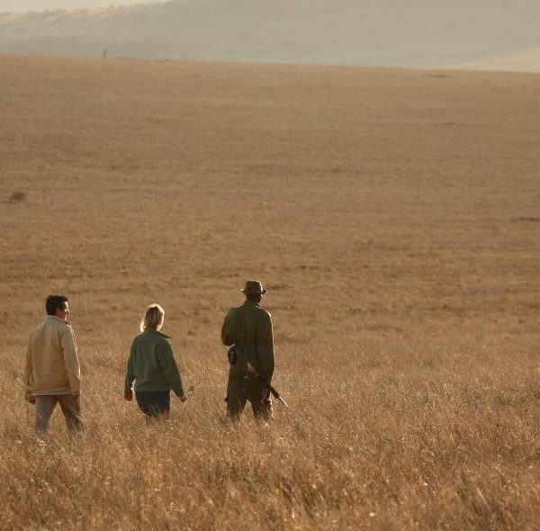 Guided Walking Safari