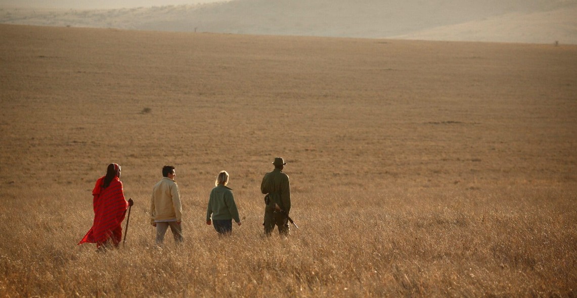 Guided Walking Safari