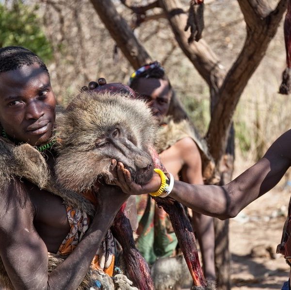 Hadzabe hunter-gatherers
