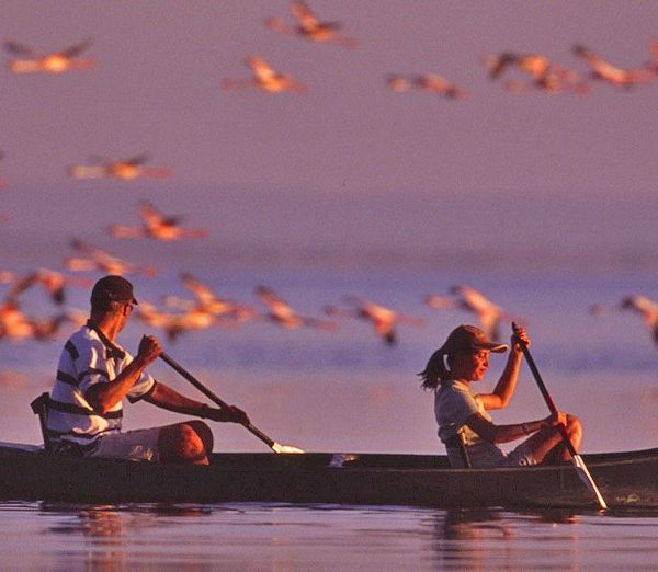 Lake Manyara Boat Rowing
