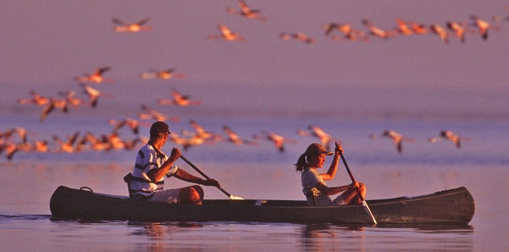 Lake Manyara Boat Rowing