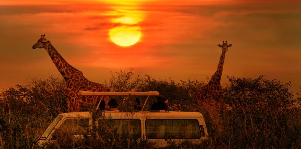 Serengeti photography Safari